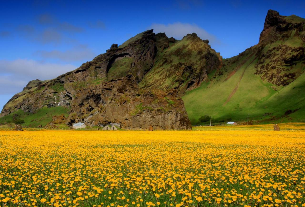 Cozy Cottage By Stay Iceland Хвольсвёдлюр Номер фото